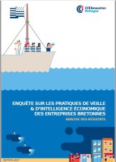 Pratiques de veille et d'intelligence économique des entreprises bretonnes