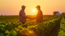 Vous n'êtes pas seul : les solutions pour les exploitants et salariés agricoles en difficulté