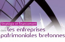 Stratégie et financement dans les entreprises patrimoniales bretonnes