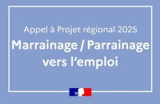 Appel à projets régional DREETS Marrainage / Parrainage vers l'emploi 2025