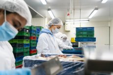 Les industries agroalimentaires en 2022 : un secteur majeur pour l'emploi industriel breton