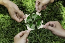 Formation - La transition écologique : et si on en parlait dans l'entreprise ?