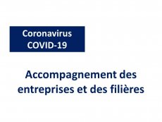 Coronavirus : Accompagnement des entreprises et des filières