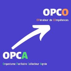 Les opérateurs de compétences (OPCO)